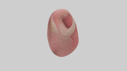 3D model Human Tongue Model VR / AR / low-poly