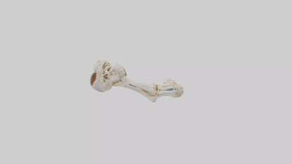 Human Ulna Skeleton model VR / AR / low-poly