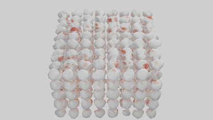 3D model Human White Blood Cells Model VR / AR / low-poly
