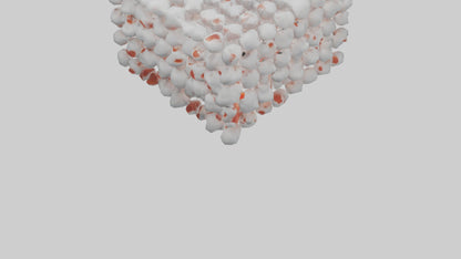 3D model Human White Blood Cells Model VR / AR / low-poly