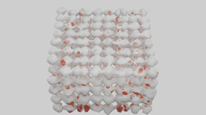 3D model Human White Blood Cells Model VR / AR / low-poly