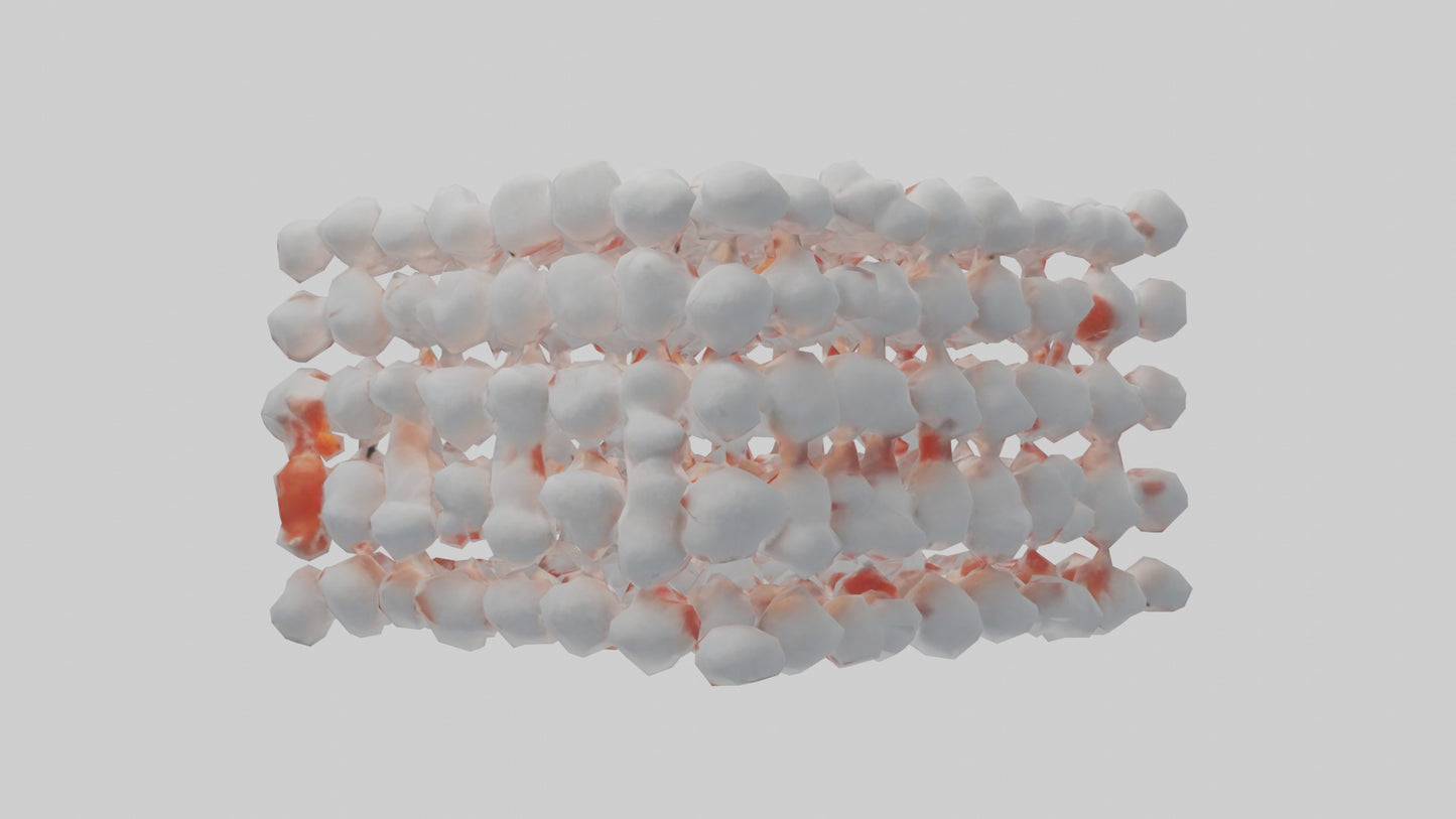 3D model Human White Blood Cells Model VR / AR / low-poly