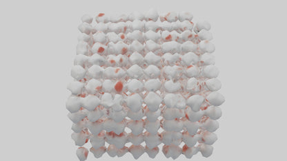 3D model Human White Blood Cells Model VR / AR / low-poly