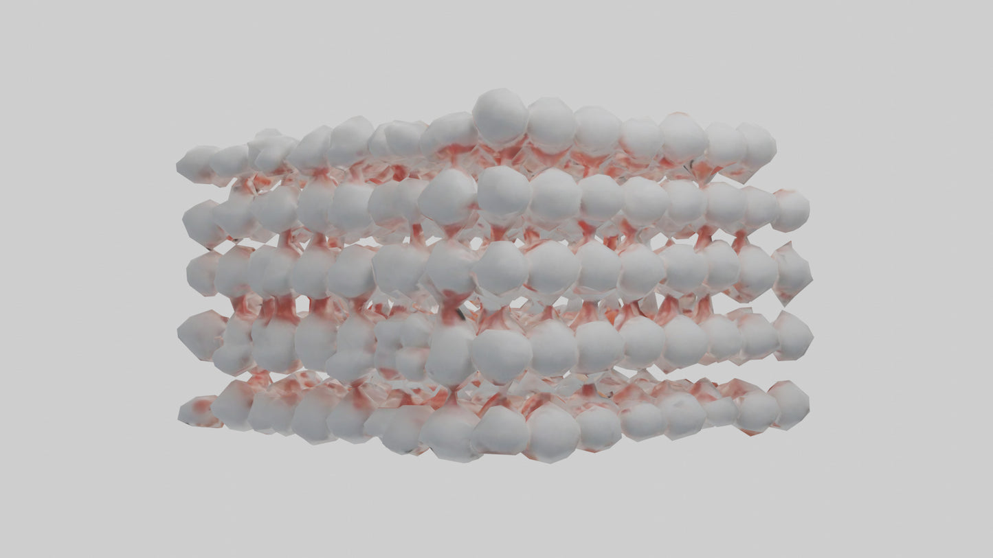 3D model Human White Blood Cells Model VR / AR / low-poly