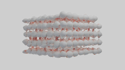 3D model Human White Blood Cells Model VR / AR / low-poly