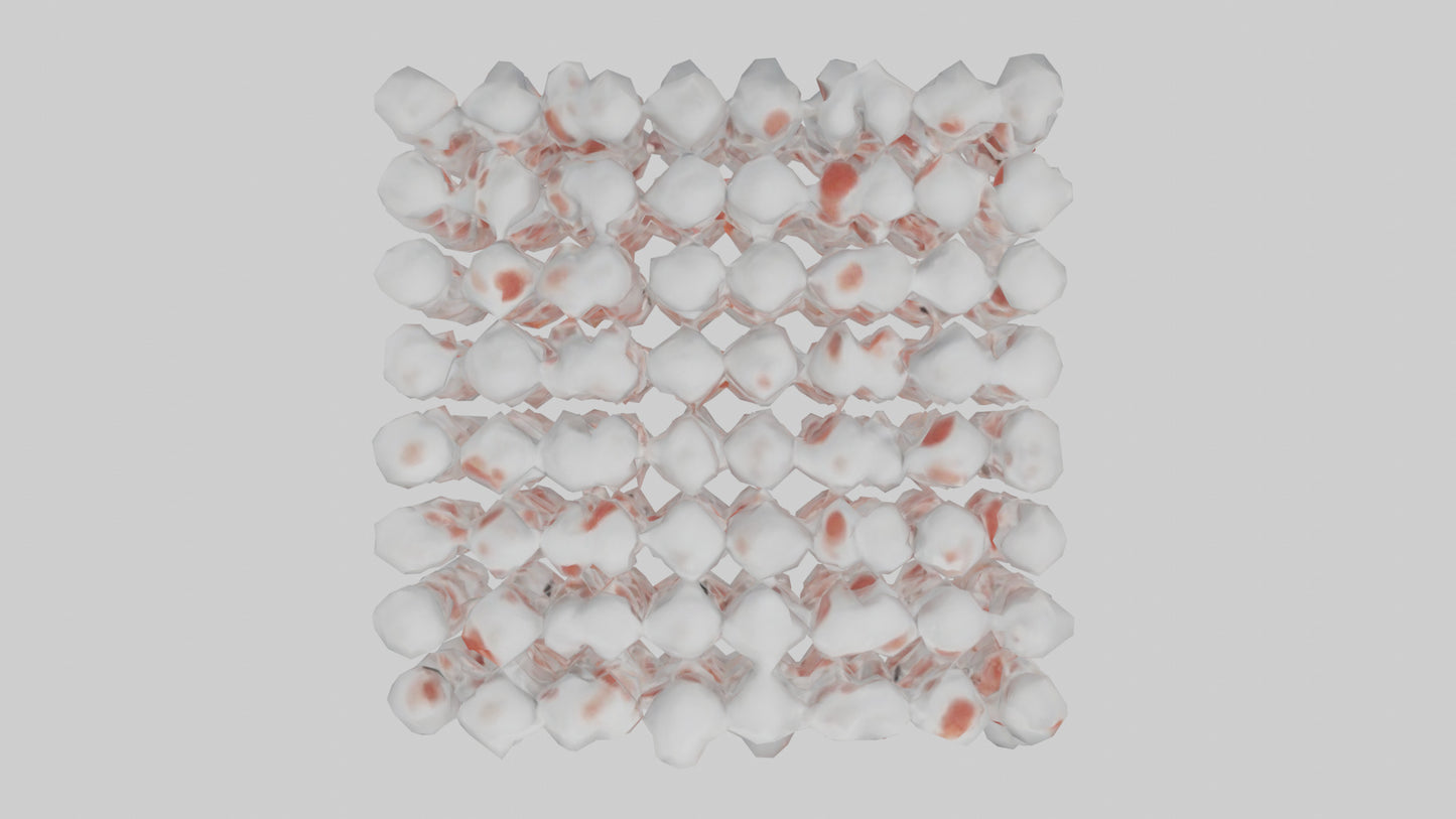 3D model Human White Blood Cells Model VR / AR / low-poly