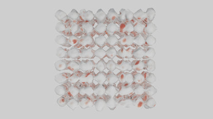 3D model Human White Blood Cells Model VR / AR / low-poly