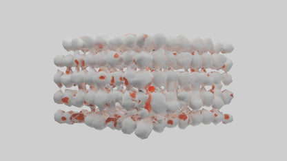 3D model Human White Blood Cells Model VR / AR / low-poly