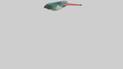 3D model Hummingbird Beak Model VR / AR / low-poly