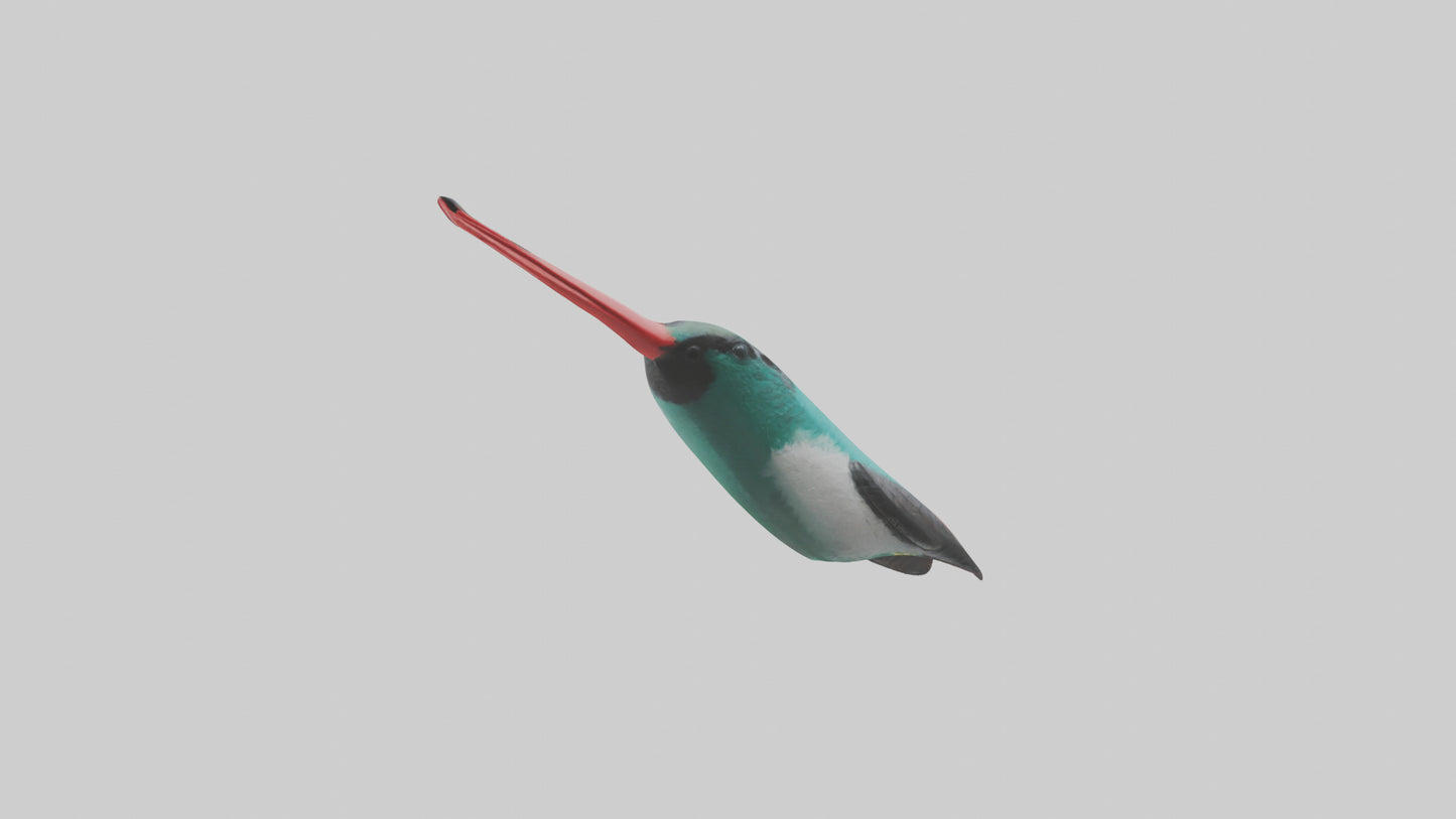 3D model Hummingbird Beak Model VR / AR / low-poly