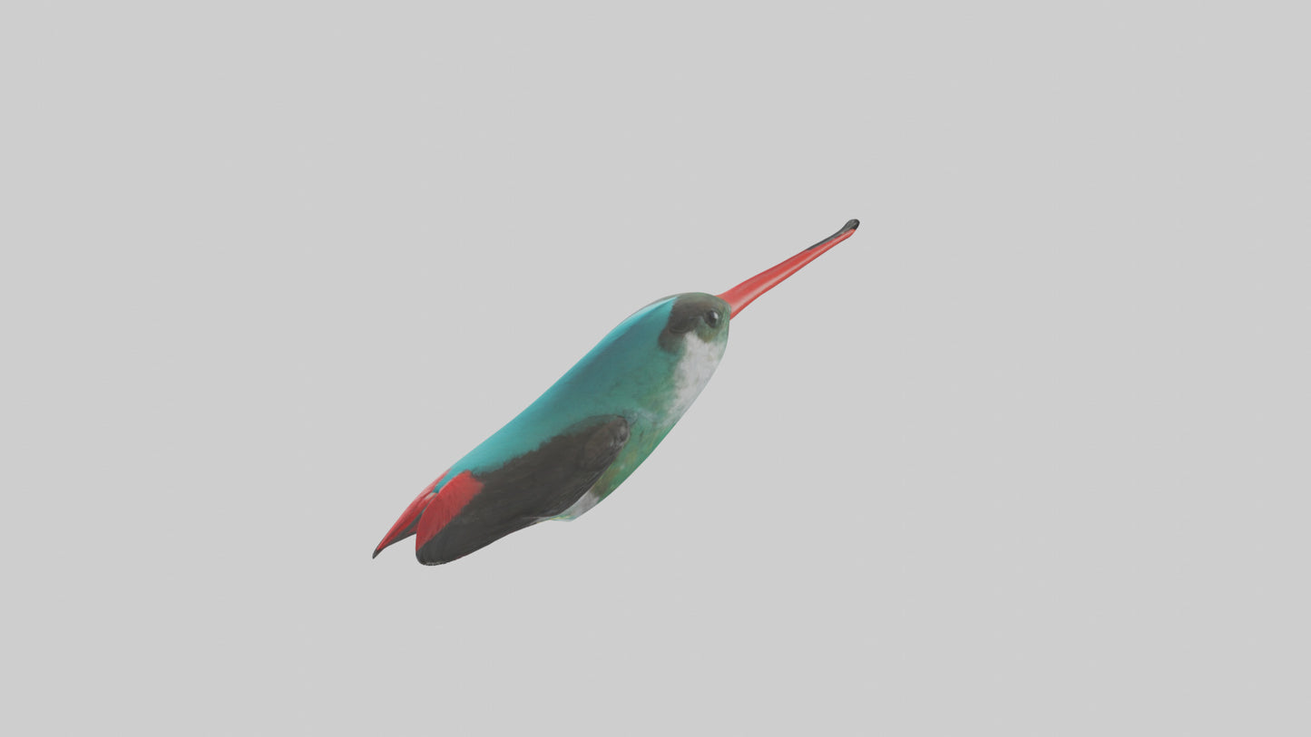 3D model Hummingbird Beak Model VR / AR / low-poly