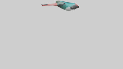 3D model Hummingbird Beak Model VR / AR / low-poly