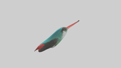 3D model Hummingbird Beak Model VR / AR / low-poly