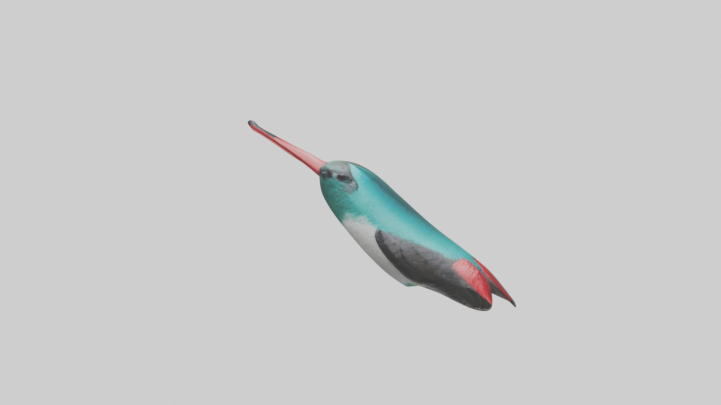 3D model Hummingbird Beak Model VR / AR / low-poly