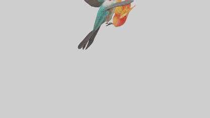 3D model Hummingbird feeding on nectar model VR / AR / low-poly