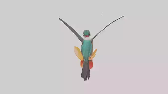 3D model Hummingbird feeding on nectar model VR / AR / low-poly