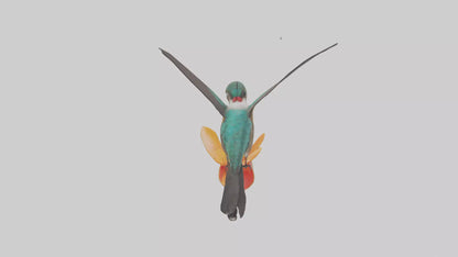 3D model Hummingbird feeding on nectar model VR / AR / low-poly
