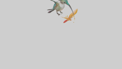 3D model Hummingbird feeding on nectar model VR / AR / low-poly