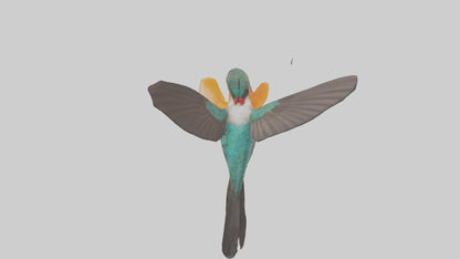 3D model Hummingbird feeding on nectar model VR / AR / low-poly