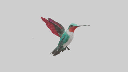 3D model Hummingbird hovering model VR / AR / low-poly