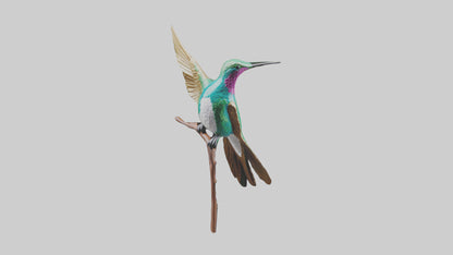3D model Hummingbird statue model VR / AR / low-poly