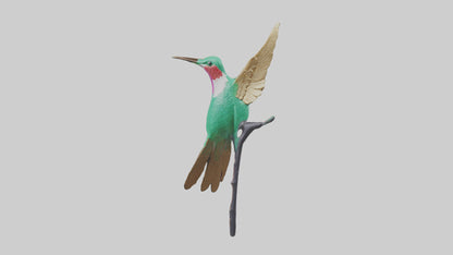 3D model Hummingbird statue model VR / AR / low-poly
