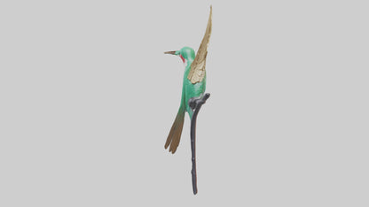 3D model Hummingbird statue model VR / AR / low-poly
