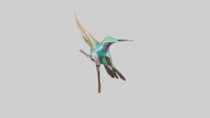 3D model Hummingbird statue model VR / AR / low-poly