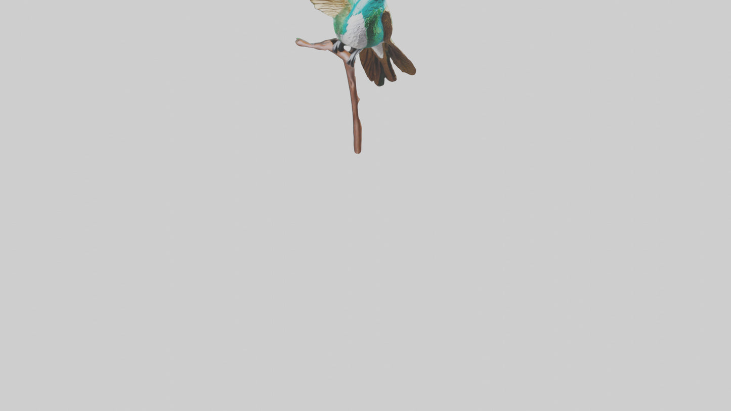 3D model Hummingbird statue model VR / AR / low-poly