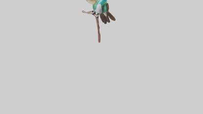 3D model Hummingbird statue model VR / AR / low-poly