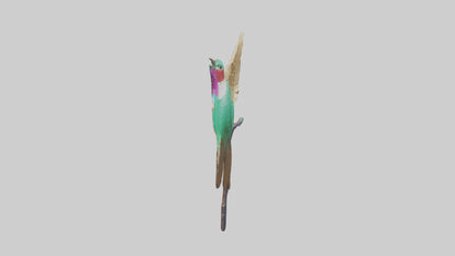 3D model Hummingbird statue model VR / AR / low-poly
