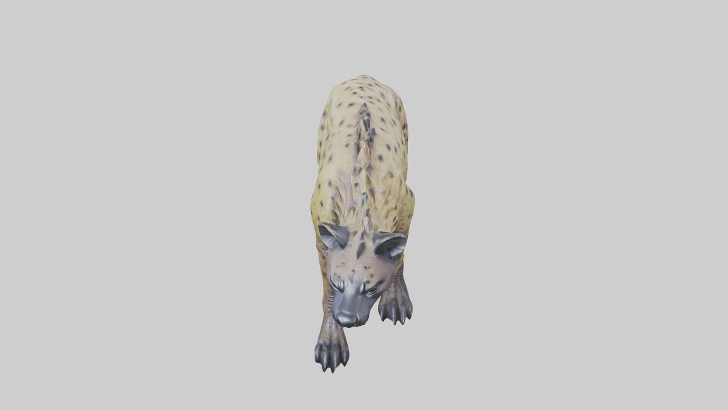 3D model Hyena statue model VR / AR / low-poly