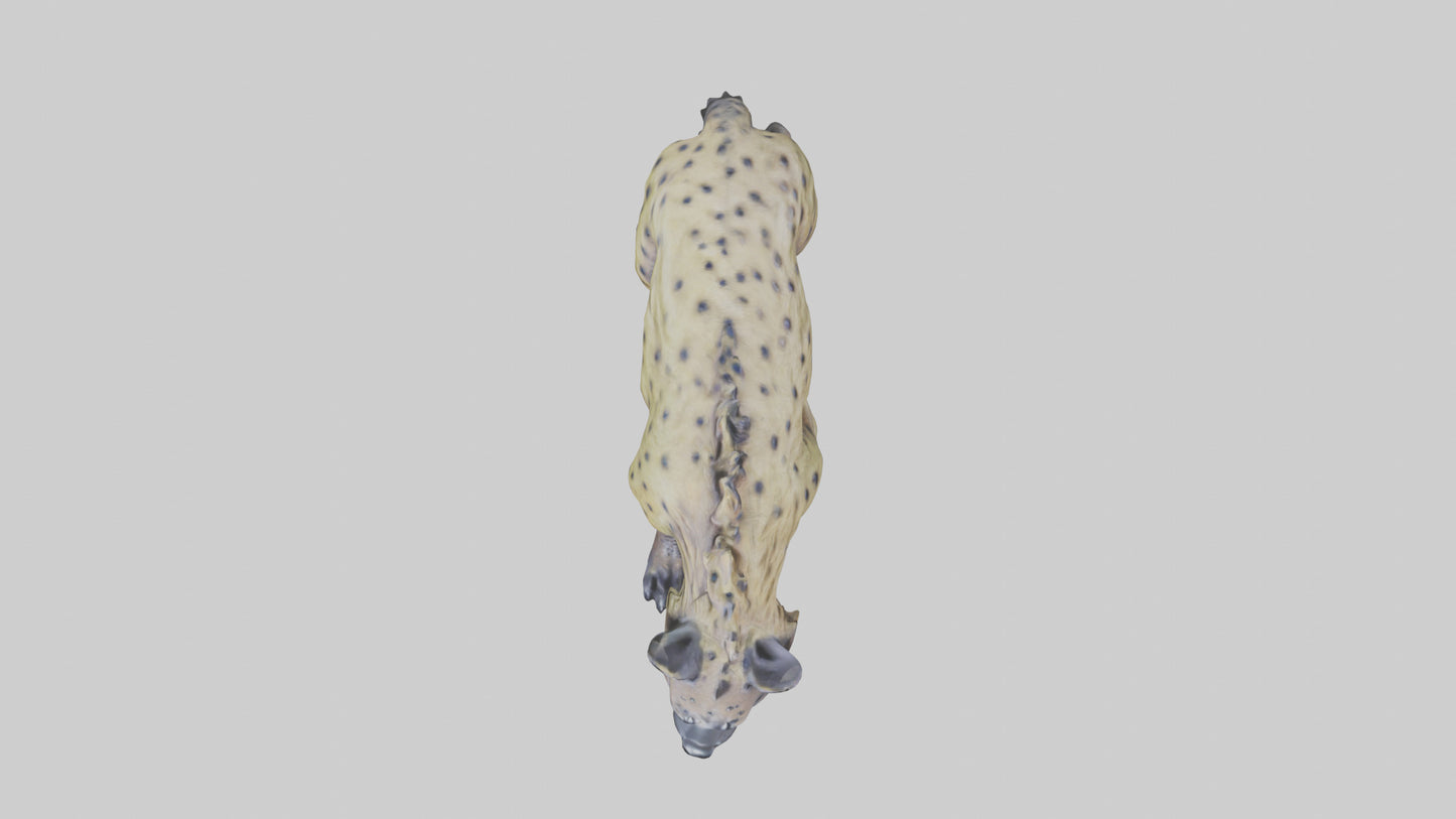 3D model Hyena statue model VR / AR / low-poly