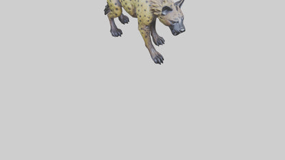 3D model Hyena statue model VR / AR / low-poly