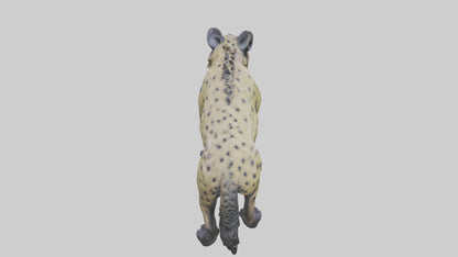 3D model Hyena statue model VR / AR / low-poly