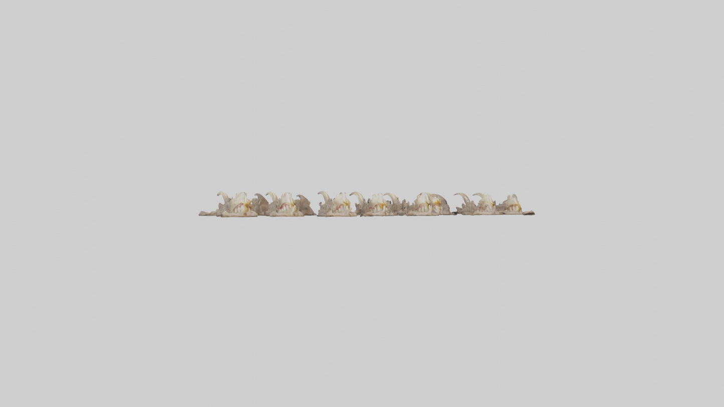 3D model Hyena Teeth Model VR / AR / low-poly