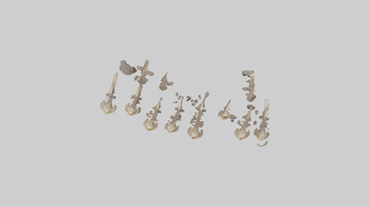 3D model Hyena Teeth Model VR / AR / low-poly