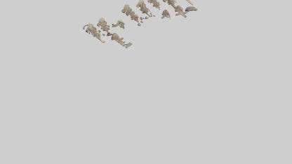 3D model Hyena Teeth Model VR / AR / low-poly