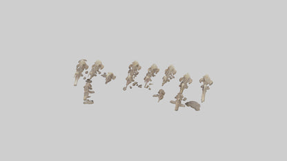 3D model Hyena Teeth Model VR / AR / low-poly