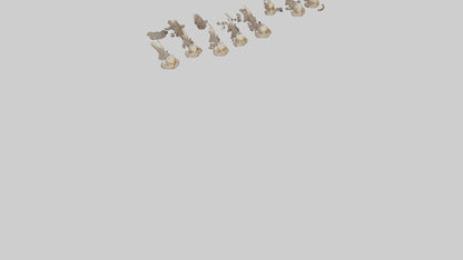 3D model Hyena Teeth Model VR / AR / low-poly