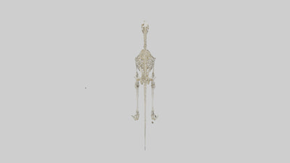 3D model Hypsilophodon Skeleton model VR / AR / low-poly