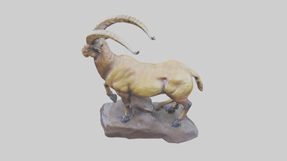 3D model Ibex statue model VR / AR / low-poly