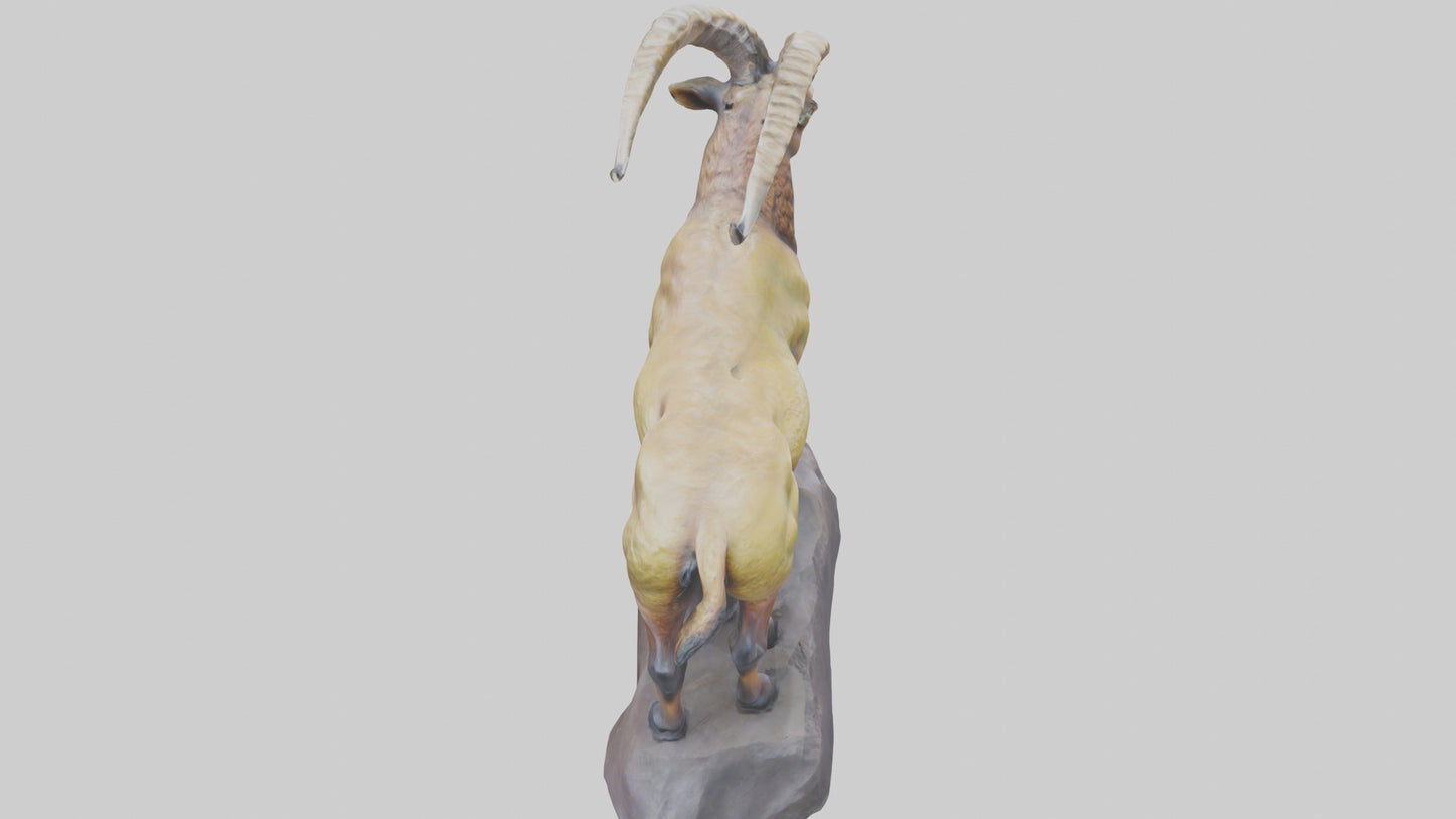 3D model Ibex statue model VR / AR / low-poly