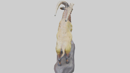 3D model Ibex statue model VR / AR / low-poly
