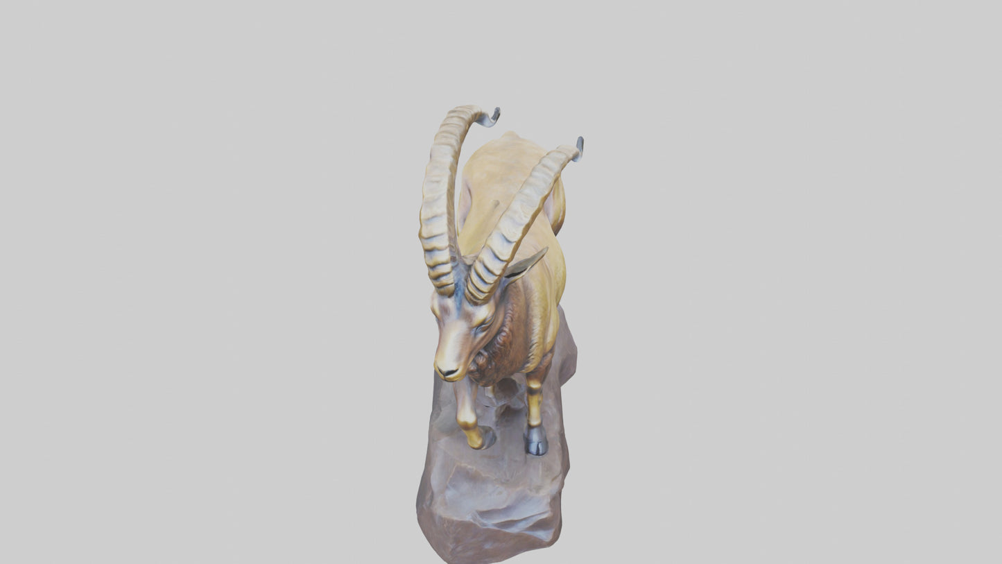 3D model Ibex statue model VR / AR / low-poly