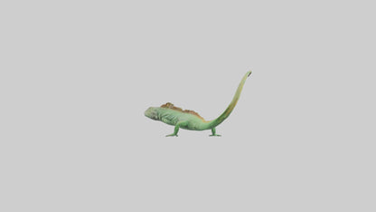 3D model Iguana Tail Model VR / AR / low-poly
