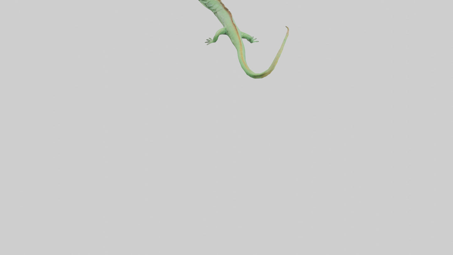 3D model Iguana Tail Model VR / AR / low-poly