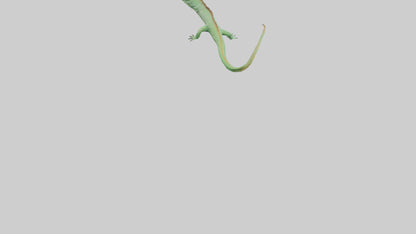 3D model Iguana Tail Model VR / AR / low-poly