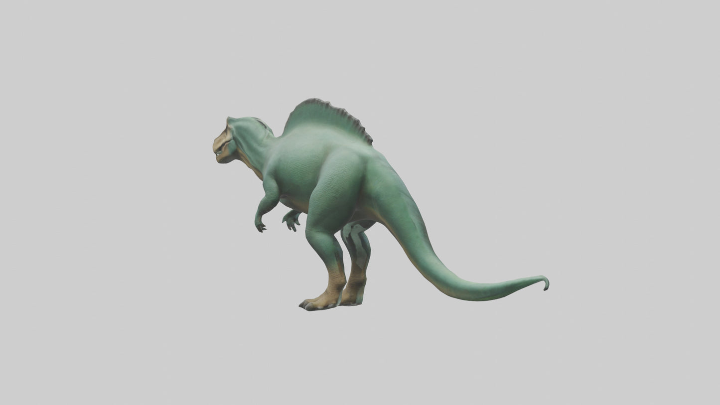3D model Iguanodon model VR / AR / low-poly