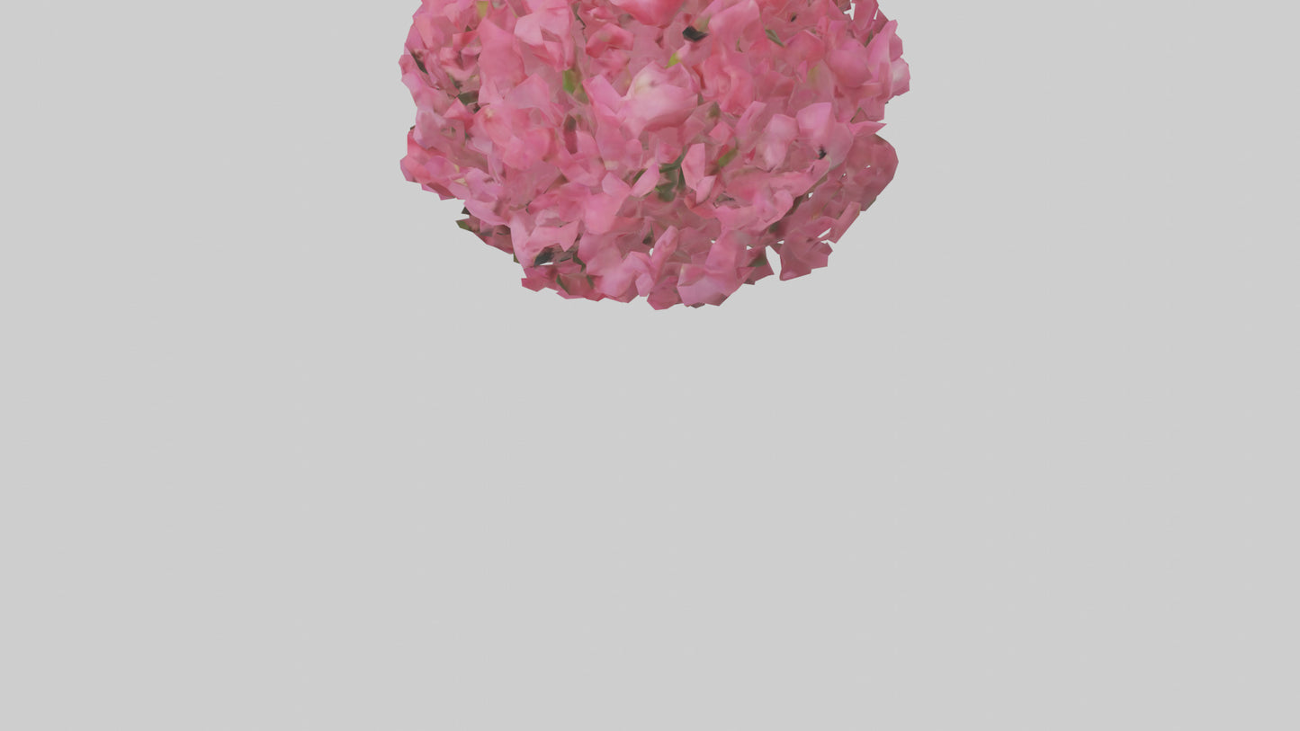 3D model Impatiens flower model VR / AR / low-poly